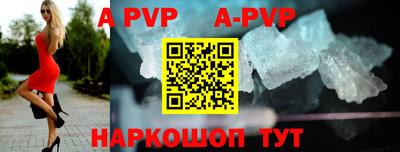 крисы Славгород
