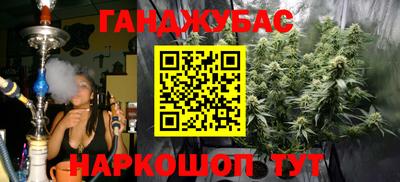 гидра Свободный