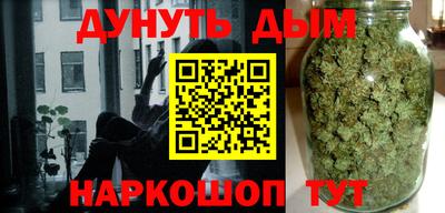крисы Славгород