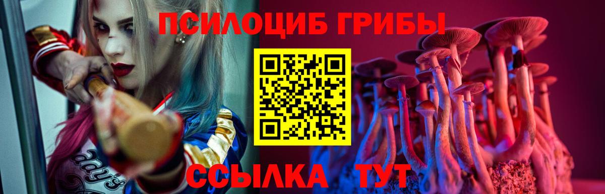 Торжок  Псилоцибиновые грибы Psilocybe  Вход с VPN  где можно купить наркотик  Галлюциногенные грибы Cubensis 